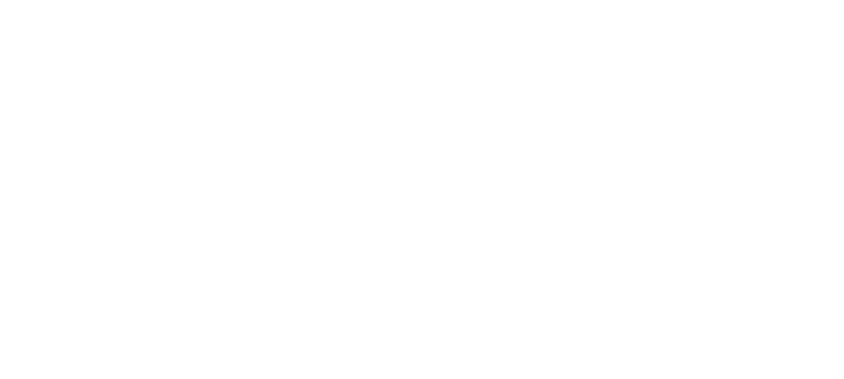 Mudenda Capital