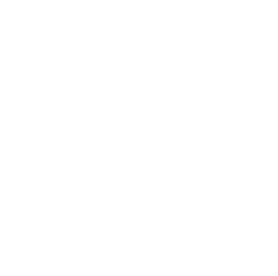 Mudenda Capital